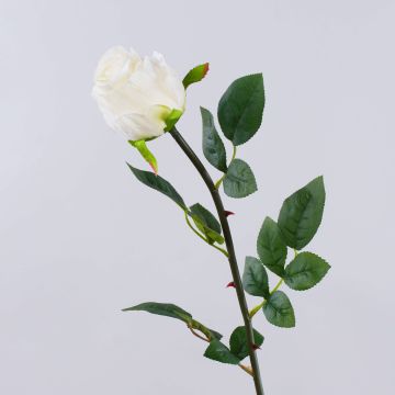 Rose artificielle SUNJIK, crème, 75cm, Ø7cm Rose artificielle SUNJIK, crème, 75cm, Ø7cm