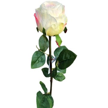 Rose artificielle SUNJIK, rose crème, 75 cm, Ø 7 cm Rose artificielle SUNJIK, rose crème, 75 cm, Ø 7 cm