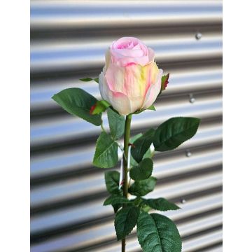 Rose artificielle SUNJIK, rose-crème, 75 cm, Ø 7 cm Rose artificielle SUNJIK, rose-crème, 75 cm, Ø 7 cm