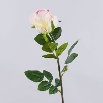 Rose artificielle SUNJIK, rose-crème, 75cm, Ø7cm Rose artificielle SUNJIK, rose-crème, 75cm, Ø7cm