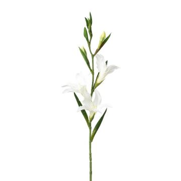 Fleur artificielle Glaïeul LUNDYL, blanc, 70cm