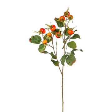 Branche artificielle de rosier du Japon DROVLE avec des cynorrhodons, orange, 60cm