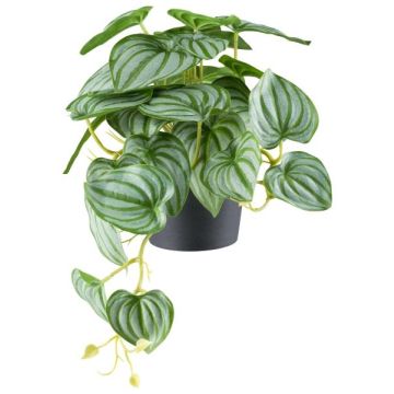 Plante artificielle « poivre nain » LUMHER, pot décoratif, suspendue, vert-gris, 24 cm