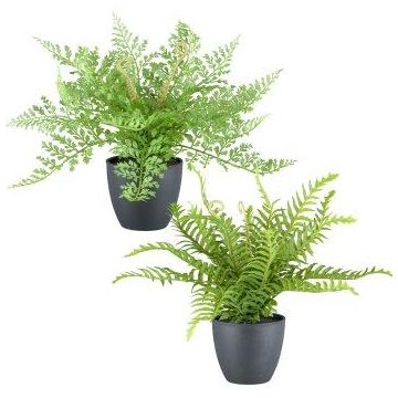 Mélange de fougères artificielles REFIL, fougère épée, fougère chevelue, 2 pièces, pot décoratif, vert, 30 cm, Ø 35 cm Mélange de fougères artificielles REFIL, fougère épée, fougère chevelue, 2 pièces, pot décoratif, vert, 30 cm, Ø 35 cm