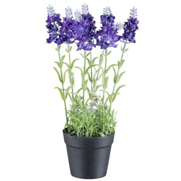 Fleur artificielle Lavande KLUSTOR en pot décoratif, lilas, 29cm Fleur artificielle Lavande KLUSTOR en pot décoratif, lilas, 29cm