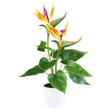 Fleur artificielle Strelitzia VELKORN en pot décoratif, orange-violet, 40cm