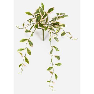 Fleur artificielle « fleur de porcelaine » YLFES sur tige, suspendue, verte, 50 cm Fleur artificielle « fleur de porcelaine » YLFES sur tige, suspendue, verte, 50 cm