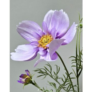 Branche décorative de cosmos HIKJAN, violette, 80 cm Branche décorative de cosmos HIKJAN, violette, 80 cm