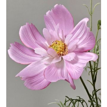 Branche décorative de cosmos HIKJAN, rose, 80 cm Branche décorative de cosmos HIKJAN, rose, 80 cm