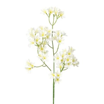Branche décorative de fleurs de pommier YORBEN avec des fleurs, blanc, 60cm Branche décorative de fleurs de pommier YORBEN avec des fleurs, blanc, 60cm