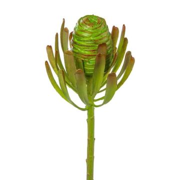 Fleur artificielle « arbre argenté » GROVEN, verte, 50 cm