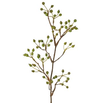Branche décorative de rosier sauvage HIKERNO avec cynorrhodons, verte, 60 cm Branche décorative de rosier sauvage HIKERNO avec cynorrhodons, verte, 60 cm