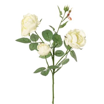 Branche de rose artificielle DIAMANTIS, crème, 70 cm, Ø 5-8 cm Branche de rose artificielle DIAMANTIS, crème, 70 cm, Ø 5-8 cm