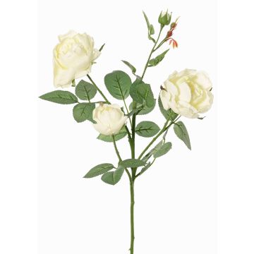 Branche de rose artificielle DIAMANTIS, crème, 70cm, Ø5-8cm Branche de rose artificielle DIAMANTIS, crème, 70cm, Ø5-8cm