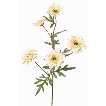 Branche décorative Chrysanthème PRUDENCE, collection écologique, crème-jaune, 75cm, Ø5-6,5cm Branche décorative Chrysanthème PRUDENCE, collection écologique, crème-jaune, 75cm, Ø5-6,5cm