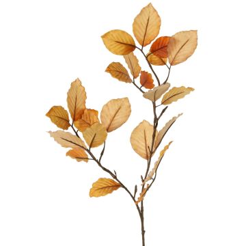 Branche décorative de hêtre LOPERDY, marron clair, 70cm Branche décorative de hêtre LOPERDY, marron clair, 70cm