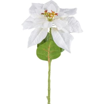 Fleur artificielle Poinsettia JORTI, blanc, 60cm