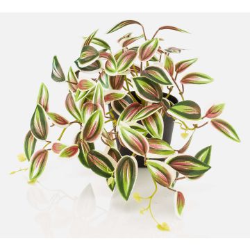 Plante artificielle Tradescantia zebrina DIHALLO dans un pot décoratif, vert-rouge, 19 cm Plante artificielle Tradescantia zebrina DIHALLO dans un pot décoratif, vert-rouge, 19 cm