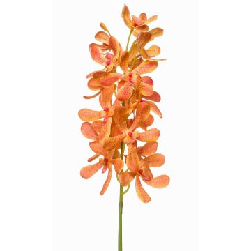 Branche artificielle Orchidée Mokara MAKANUI, orange-jaune-rose, 80cm Branche artificielle Orchidée Mokara MAKANUI, orange-jaune-rose, 80cm
