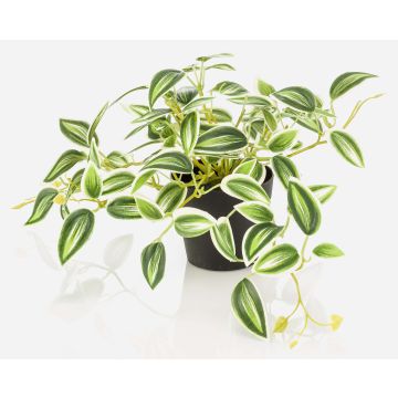 Plante artificielle Tradescantia zebrina DIHALLO dans un pot décoratif, vert-blanc, 19 cm Plante artificielle Tradescantia zebrina DIHALLO dans un pot décoratif, vert-blanc, 19 cm