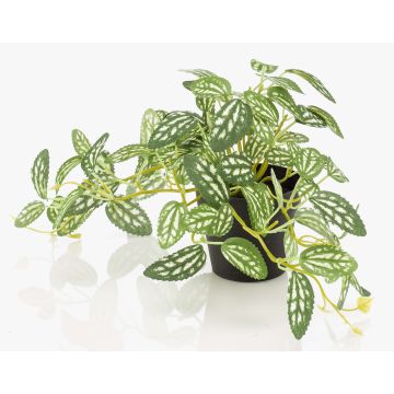 Plante artificielle « poivre nain » MIHALLA dans un pot décoratif, vert et blanc, 19 cm