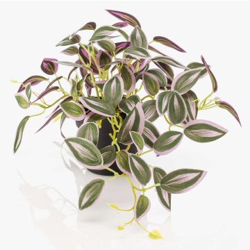Plante artificielle Tradescantia zebrina DIHALLO dans un pot décoratif, vert-violet, 19 cm Plante artificielle Tradescantia zebrina DIHALLO dans un pot décoratif, vert-violet, 19 cm
