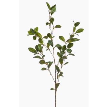 Branche décorative de houx LOVRIS avec fleurs, vert-jaune, 90 cm Branche décorative de houx LOVRIS avec fleurs, vert-jaune, 90 cm