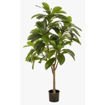 Arbre artificiel frangipanier MORSHA, tronc artificiel, vert, 145 cm Arbre artificiel frangipanier MORSHA, tronc artificiel, vert, 145 cm