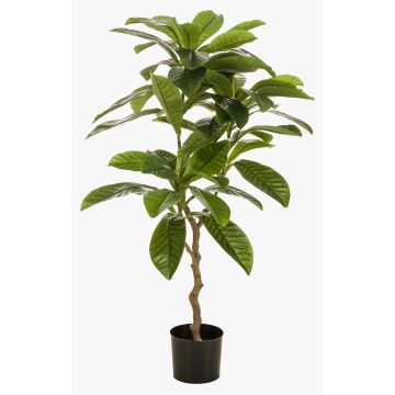 Arbre artificiel Frangipani MORSHA, tronc artificiel, vert, 110 cm Arbre artificiel Frangipani MORSHA, tronc artificiel, vert, 110 cm