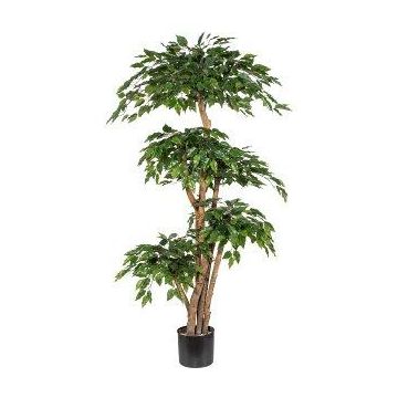 Arbre artificiel Ficus Benjamina WALNUTA, troncs naturels, 170cm Arbre artificiel Ficus Benjamina WALNUTA, troncs naturels, 170cm