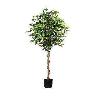 Arbre décoratif Ficus Benjamina ONIN, troncs naturels, 180cm Arbre décoratif Ficus Benjamina ONIN, troncs naturels, 180cm