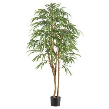 Arbre artificiel Longifolia TEESY, troncs naturels, 170cm