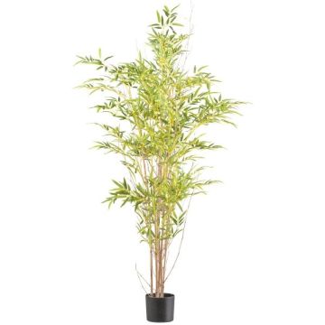 Arbre artificiel Bambou flèche japonais EDENA, troncs naturels, 150cm Arbre artificiel Bambou flèche japonais EDENA, troncs naturels, 150cm