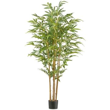 Arbre artificiel Bambou flèche japonais IRTWA, troncs naturels, crossdoor, 180cm Arbre artificiel Bambou flèche japonais IRTWA, troncs naturels, crossdoor, 180cm