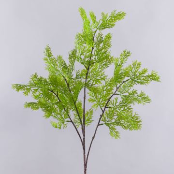 Branche décorative de thuya BIRLAF, vert-jaune, 85 cm Branche décorative de thuya BIRLAF, vert-jaune, 85 cm