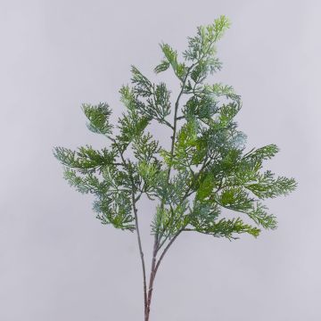 Branche décorative de thuya BIRLAF, vert-gris, 85 cm Branche décorative de thuya BIRLAF, vert-gris, 85 cm