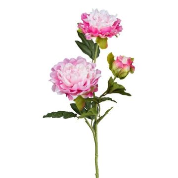 Branche de fleurs artificielles Pivoine SLORMEK, rose-blanc, 65cm Branche de fleurs artificielles Pivoine SLORMEK, rose-blanc, 65cm