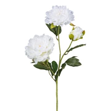 Branche de fleurs artificielles Pivoine SLORMEK, blanc, 65cm