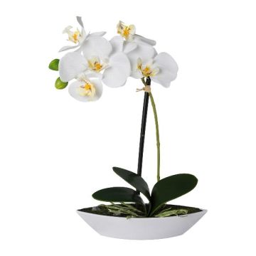 Orchidée Phalaenopsis artificielle ORWAN, coupe décorative, racines, blanc, 30cm