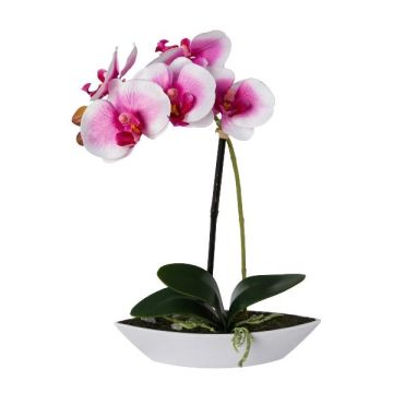Orchidée Phalaenopsis artificielle ORWAN, coupe décorative, racines, blanc-lilas, 30cm