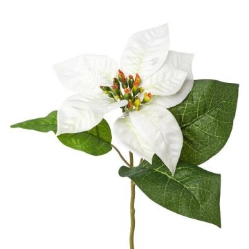 Fleur en plastique Poinsettia HIKOL, blanc, 35cm