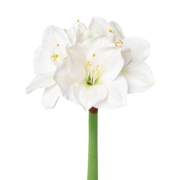 Fleur en plastique Amaryllis MIKUN, blanc, 55cm