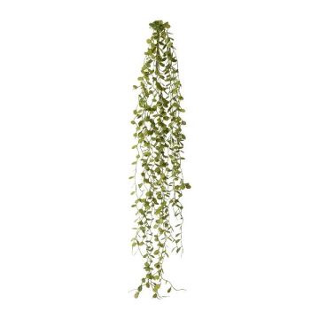 Suspension artificielle Muehlenbeckia ZEHANL, tige, verte, 70 cm Suspension artificielle Muehlenbeckia ZEHANL, tige, verte, 70 cm