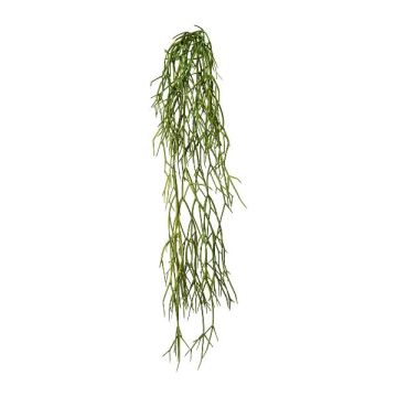 Plante succulente artificielle Rhipsalis WUNKE, touffue, piquet, retombante, vert, 60cm