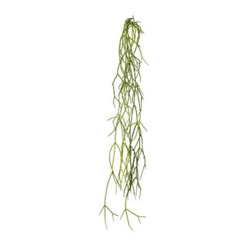 Plante succulente artificielle Rhipsalis WUNKE, piquet, retombant, vert, 60cm Plante succulente artificielle Rhipsalis WUNKE, piquet, retombant, vert, 60cm