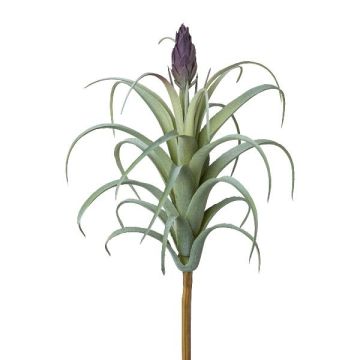 Plante succulente artificielle Tillandsia stricta KROST, piquet, fleur, vert-lilas, 23cm Plante succulente artificielle Tillandsia stricta KROST, piquet, fleur, vert-lilas, 23cm