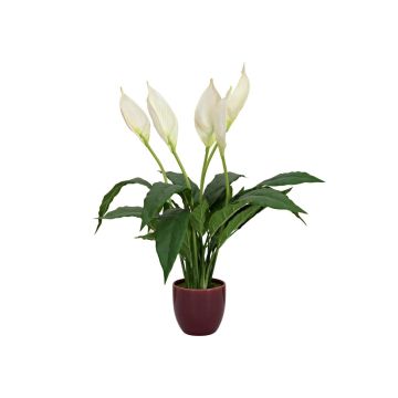 Fleur artificielle Spathiphyllum AYASHA avec des fleurs, pot en céramique, blanc, 60cm