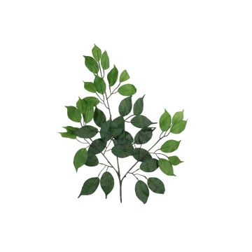 Branche de ficus benjamina artificielle SAKURA, 12 pièces, vert, 55cm Branche de ficus benjamina artificielle SAKURA, 12 pièces, vert, 55cm