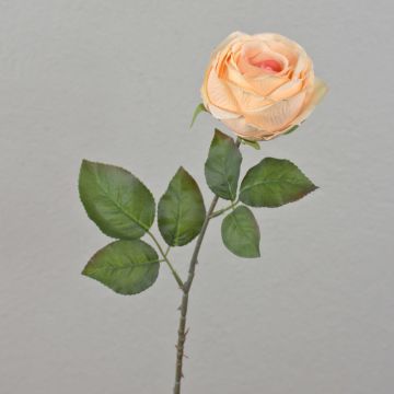 Rose artificielle FINAKAS, abricot, 65cm, Ø9cm Rose artificielle FINAKAS, abricot, 65cm, Ø9cm