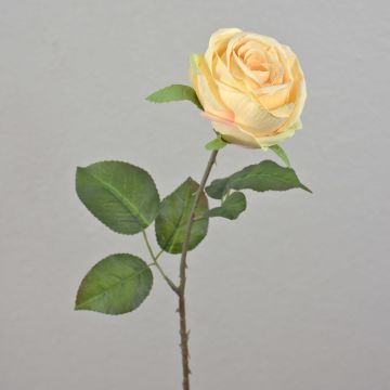 Rose artificielle FINAKAS, crème-jaune, 65cm, Ø9cm Rose artificielle FINAKAS, crème-jaune, 65cm, Ø9cm